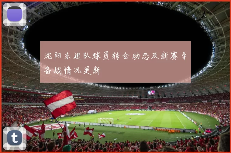 沈阳东进队球员转会动态及新赛季备战情况更新