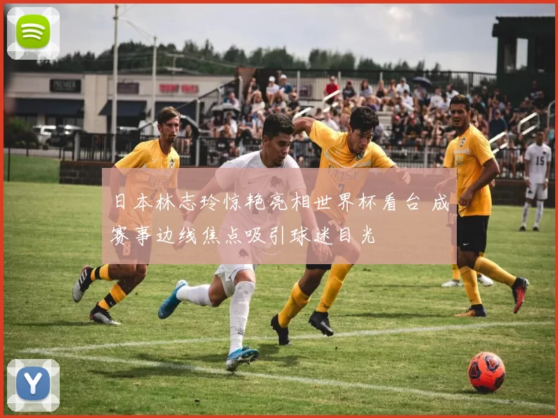 日本林志玲惊艳亮相世界杯看台 成赛事边线焦点吸引球迷目光