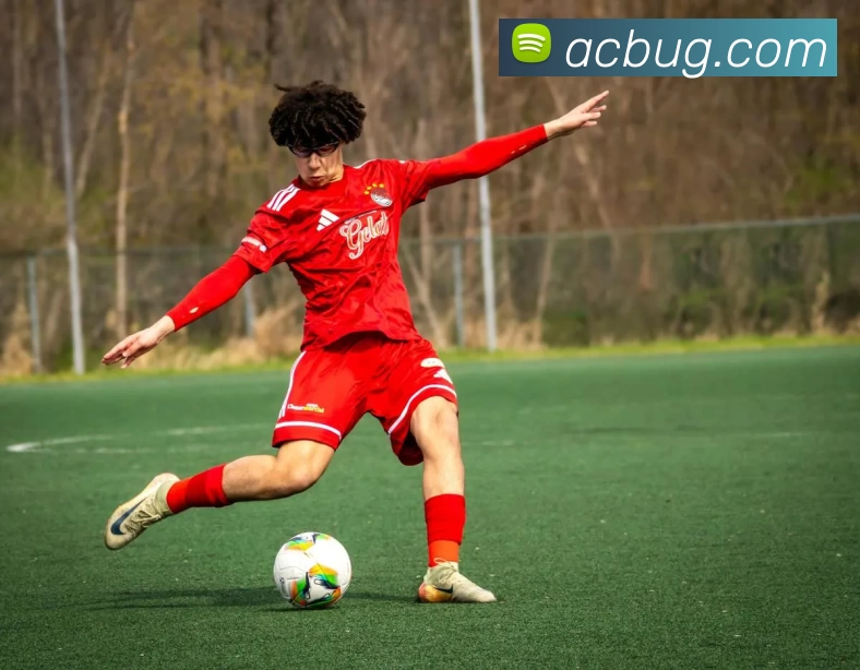 多媒体互动体验